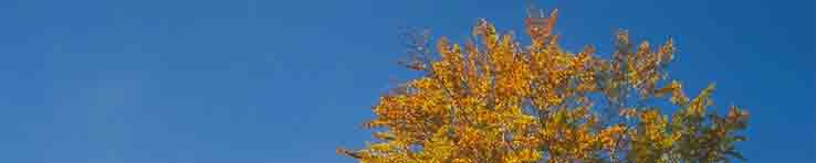 Stimmungsbild Oktober